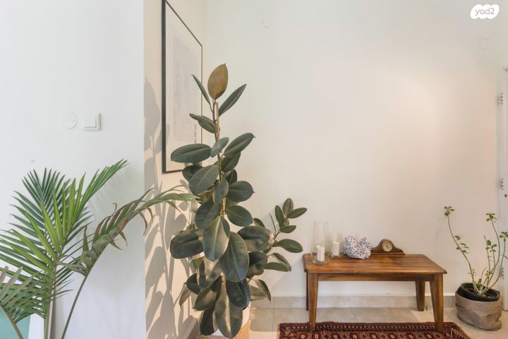 דירה, מנדלסון, הצפון הישן - דרום, תל אביב יפו