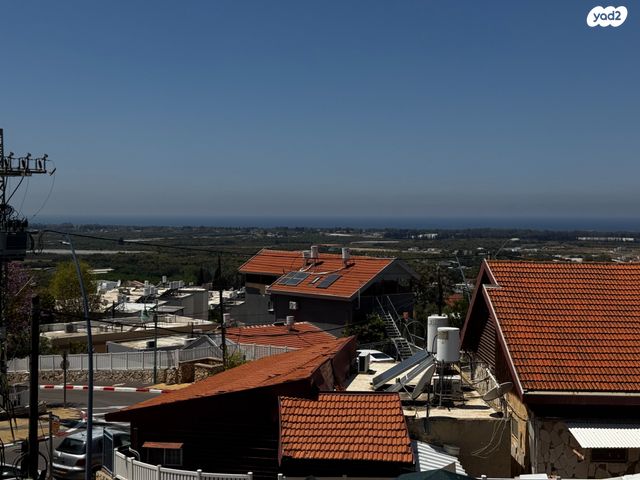 דירה, נתן אלבז, הראשונים, שלומי