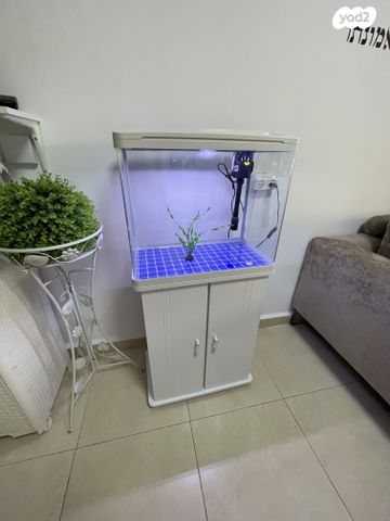 תמונת מודעה - חיות מחמד