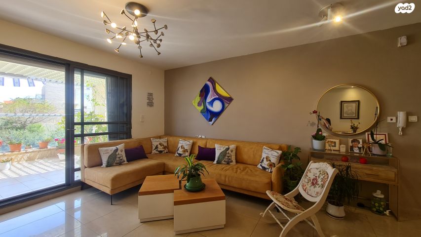 האלמוג 36