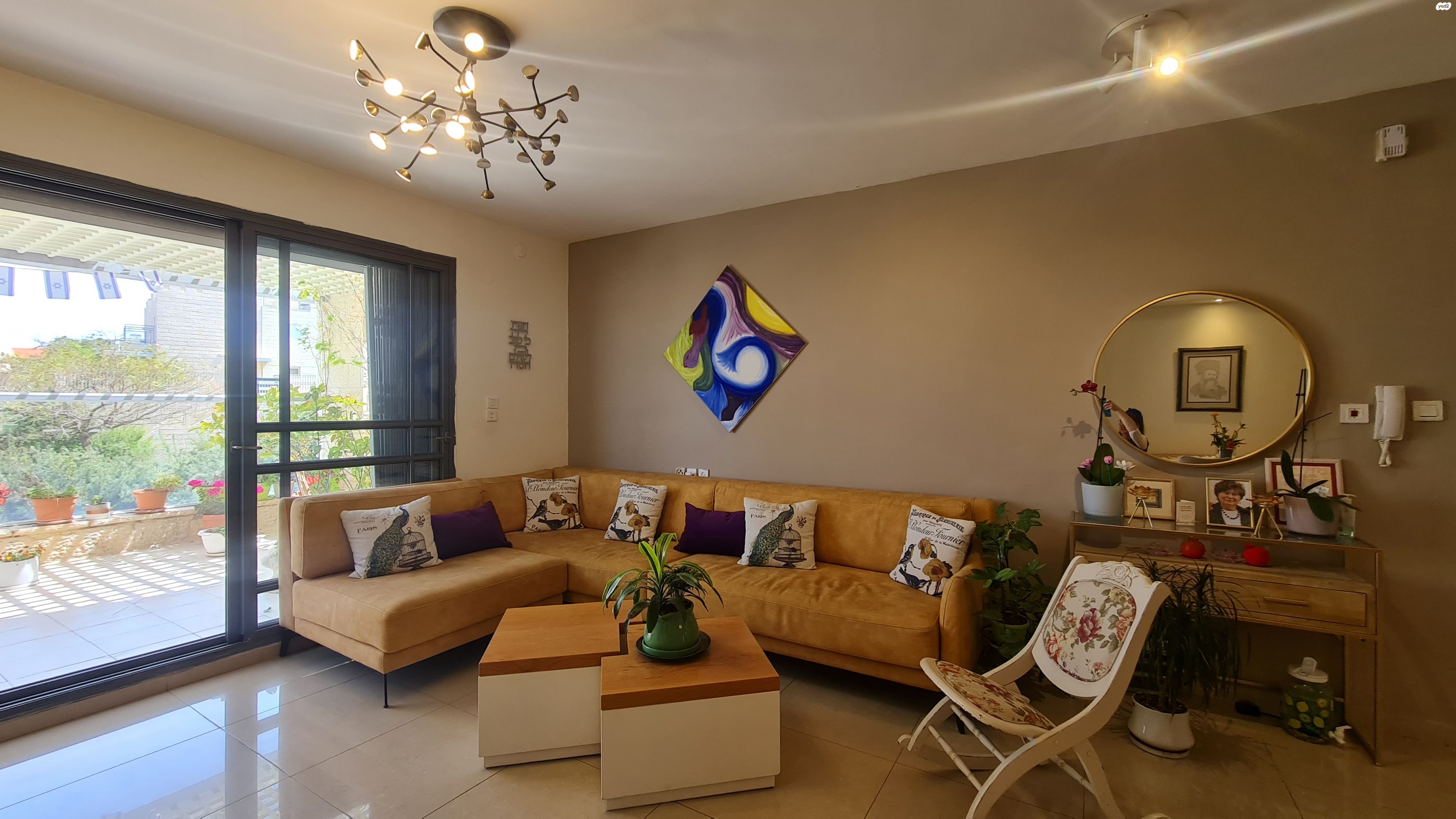 האלמוג 36