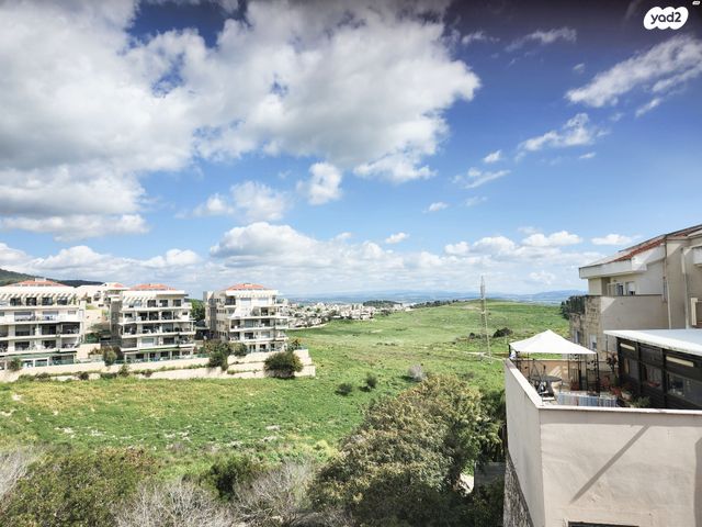 אורטל 4