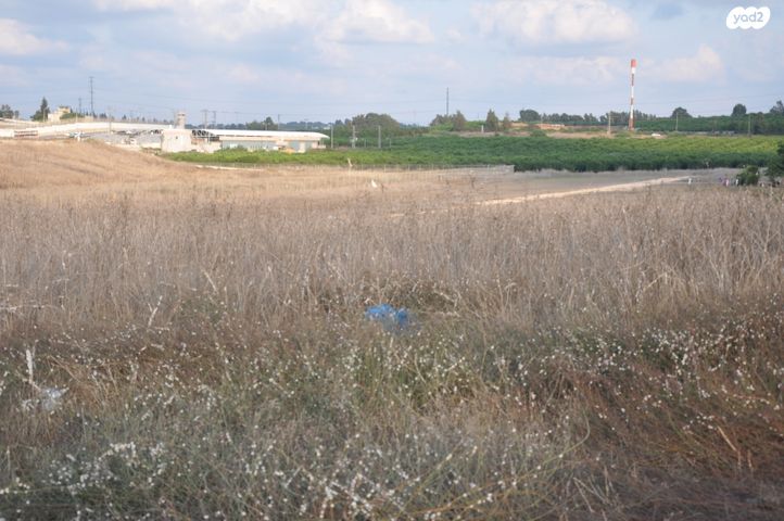 יקום 