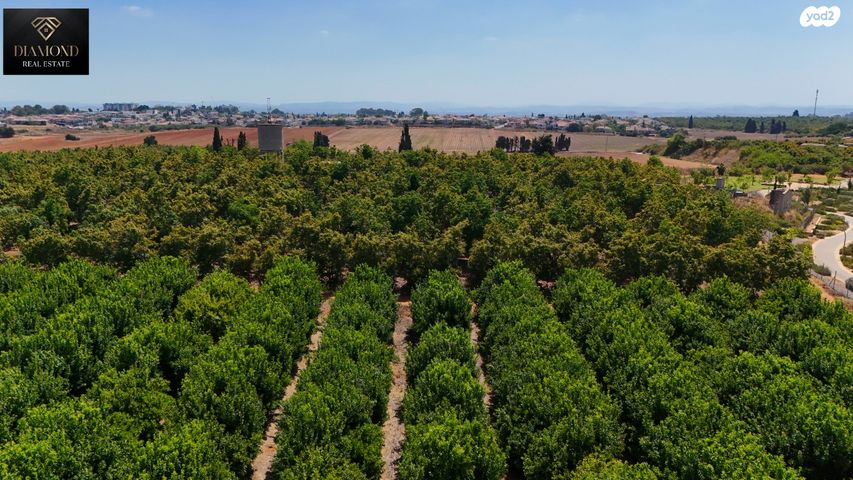 דירה, הארבל 18, פרדסיה, פרדסיה