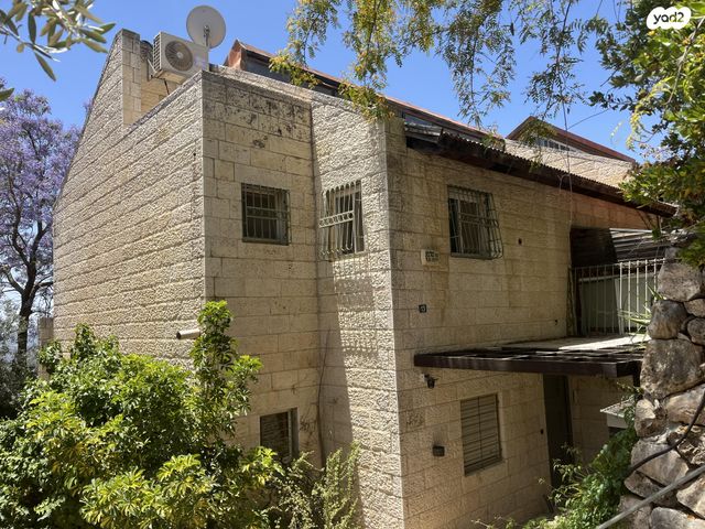 אלפרד ויתקון 13