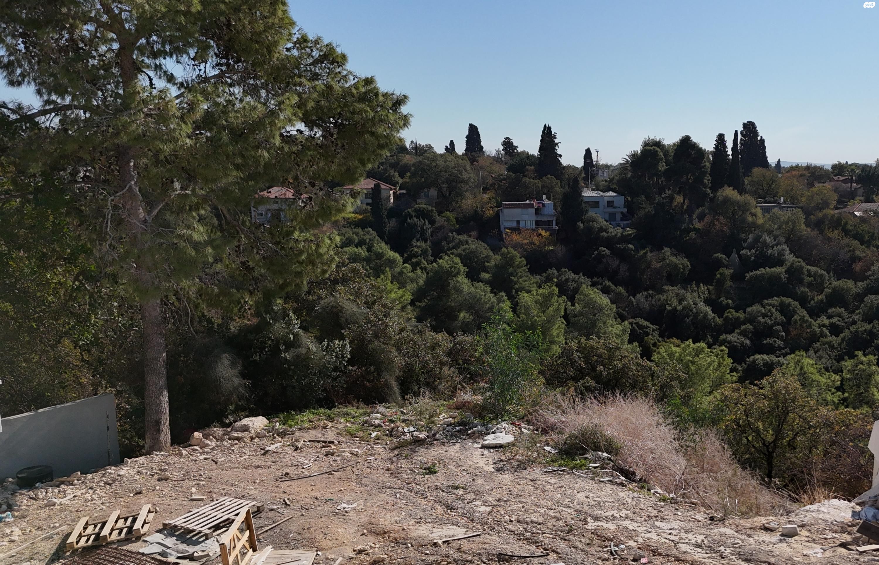 טבעון הוותיקה