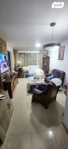 דוד וולפסון 