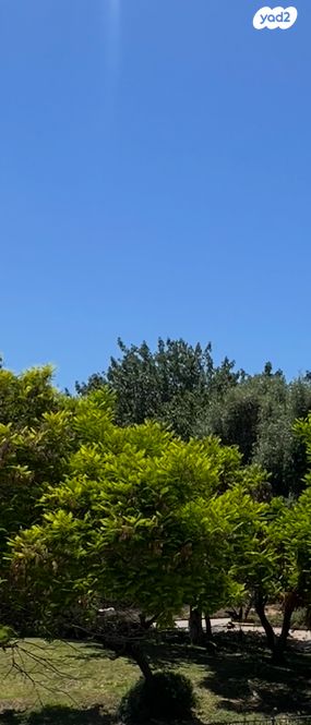 דירה, הכינור, נאות אשלים, ראשון לציון