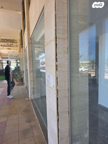 דירת גן, שדרות דוד בן גוריון, הסיטי, אשקלון