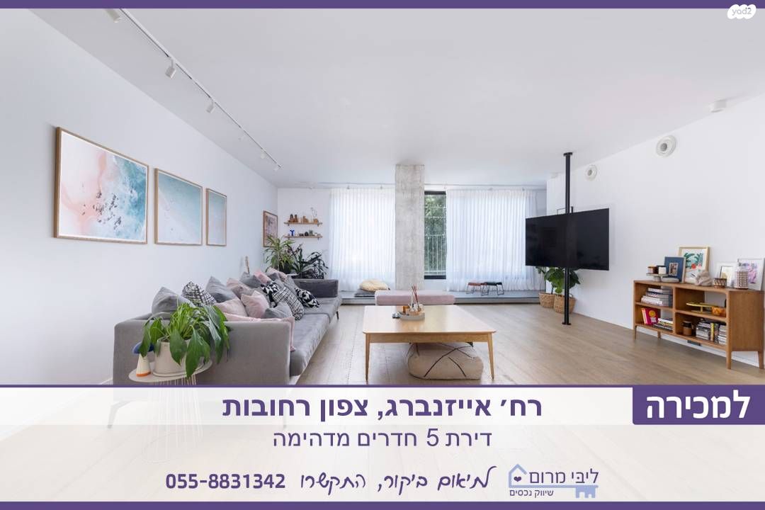 אהרון אייזנברג 
