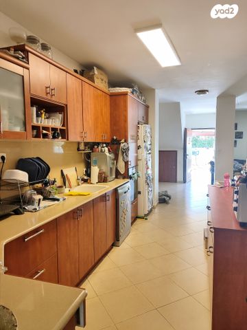 דירת גן, צוותא ב, אלפי מנשה