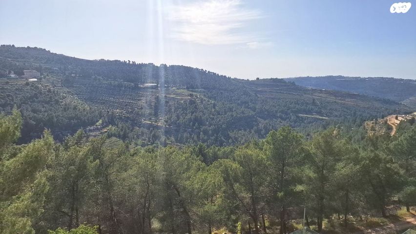 דירה, ירושלים