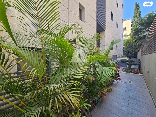 דירה, כרם התימנים, תל אביב יפו