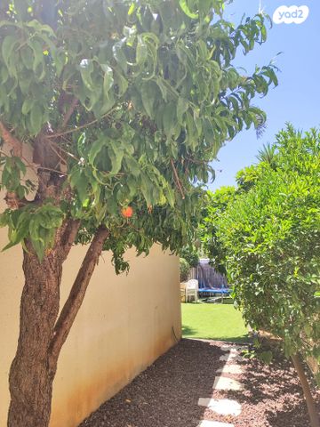 דירת גן, צוותא ב, אלפי מנשה