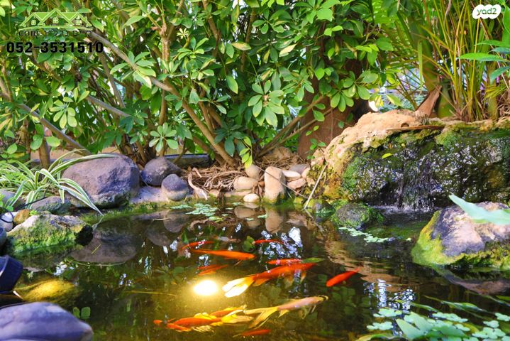 דו משפחתי, ורד, בית דגן, בית דגן