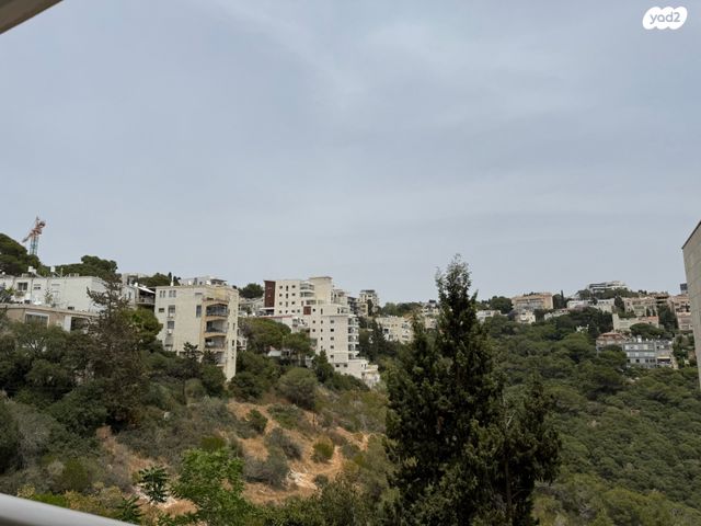 רות 5