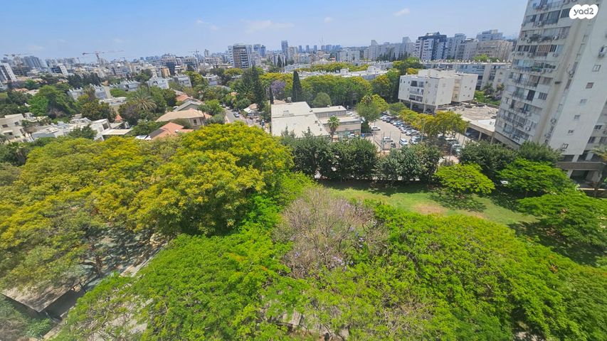 שמואל יבנאלי 