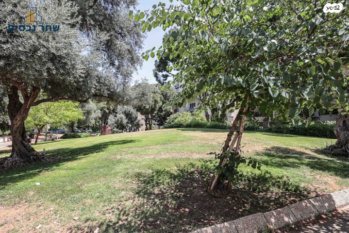 דופלקס, גלבוע, כפר סבא