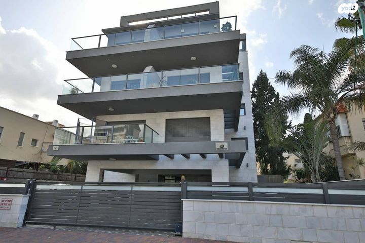 הרב קוק 