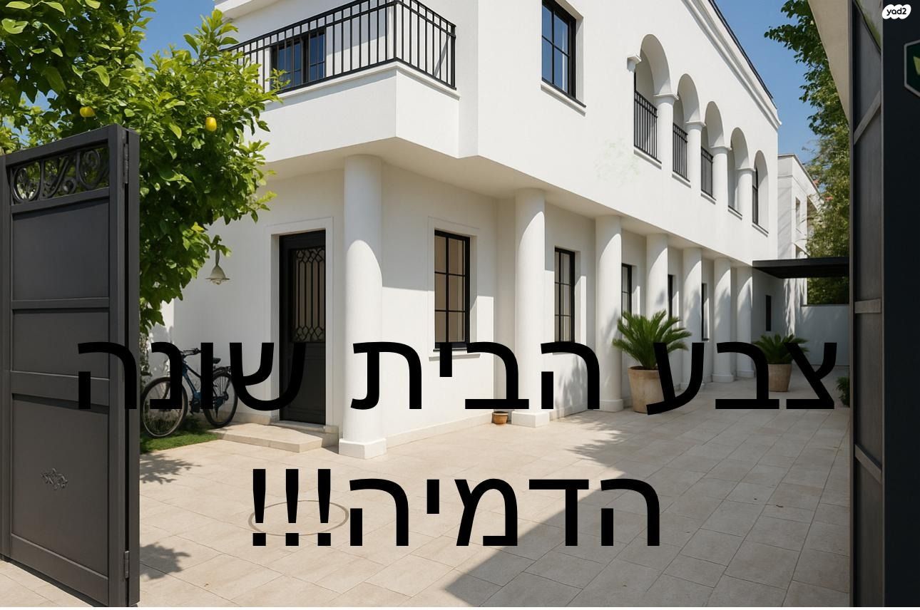 אלוף דוד 
