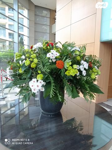 דירה, פנקס, הצפון החדש - כיכר המדינה, תל אביב יפו