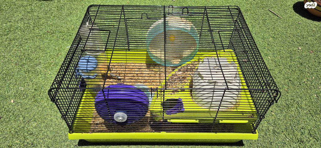 תמונת מודעה - חיות מחמד