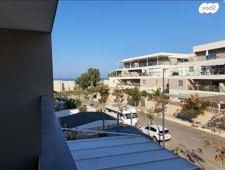 שחף 13