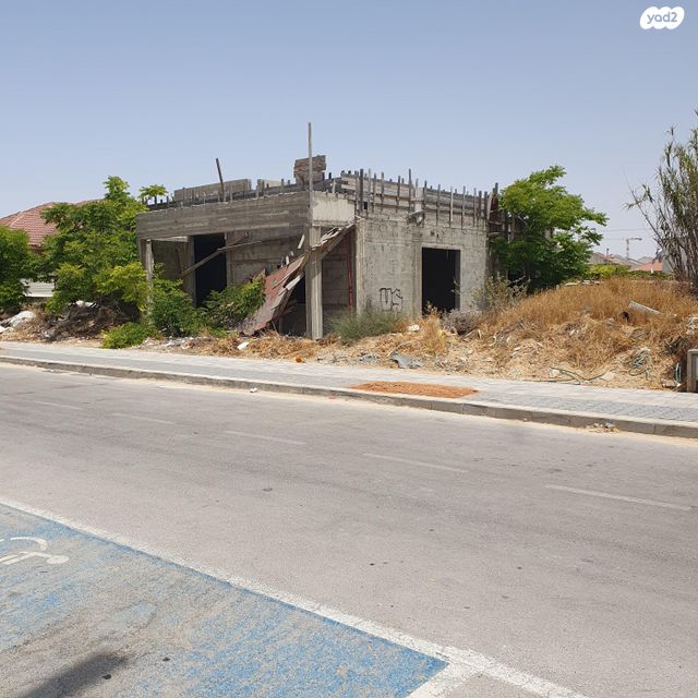 התאנה 250