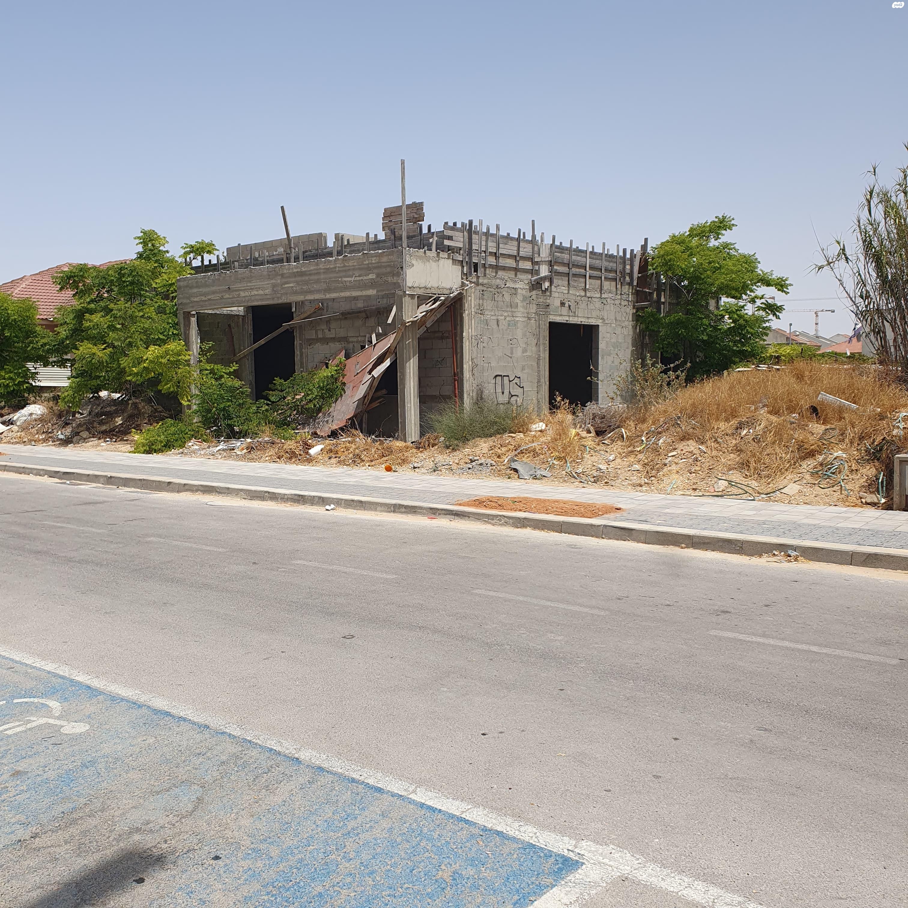 התאנה 250
