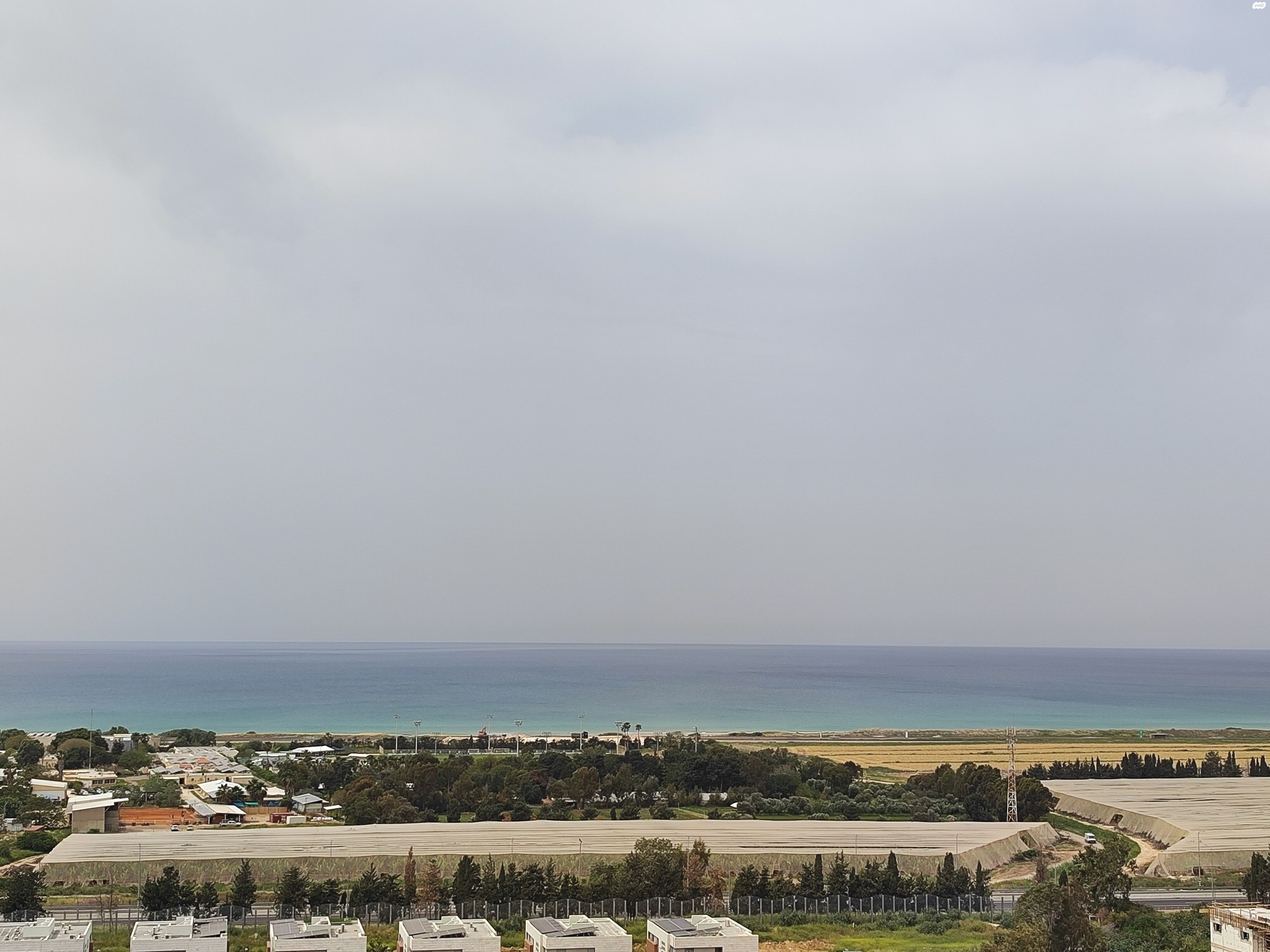 לח"י 