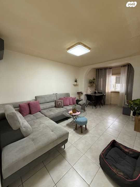 דירה, ביאליק, ביאליק, טירת כרמל