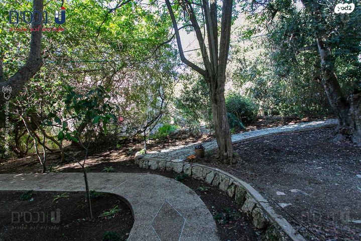 דירה, טשרניחובסקי, כרמל צרפתי, חיפה