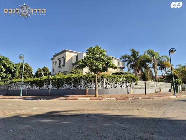 שחר