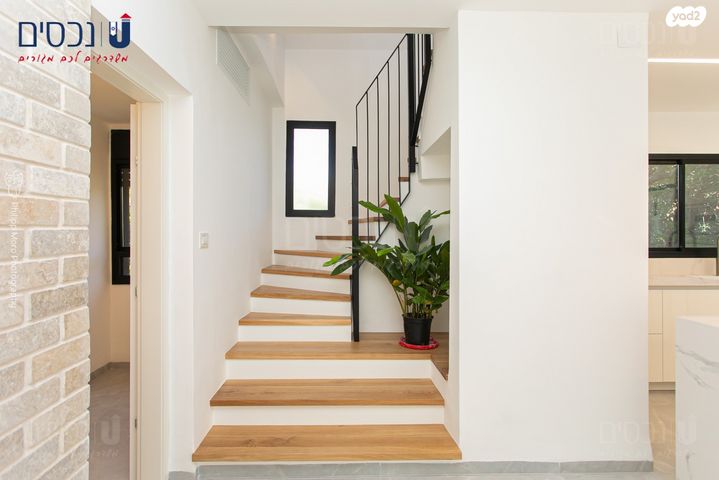 דירה, טשרניחובסקי, כרמל צרפתי, חיפה