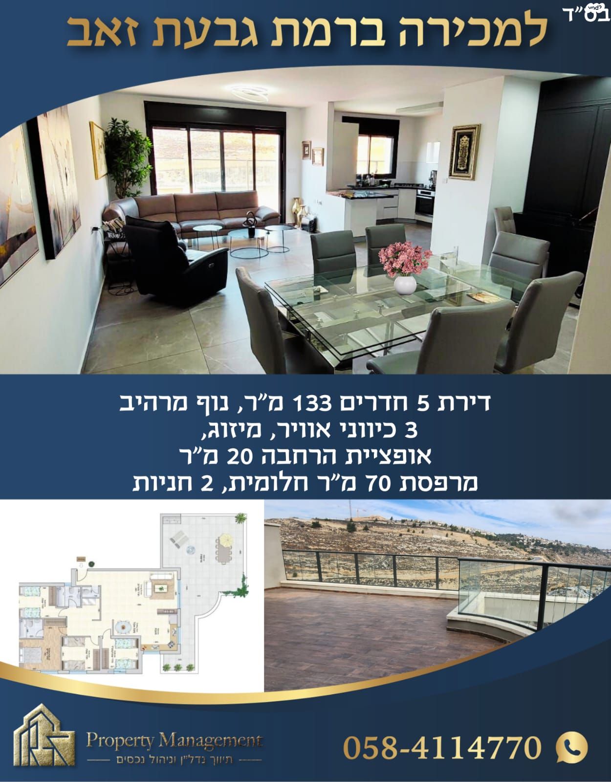 הכינור 