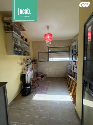 דירת גן, טירת כרמל