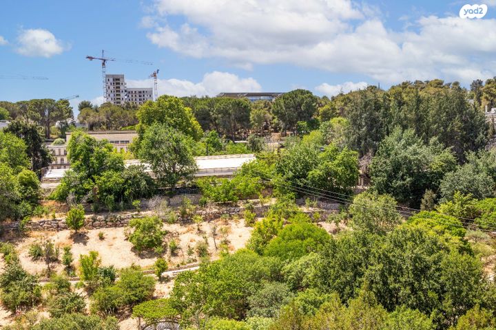 נווה שאנן 18