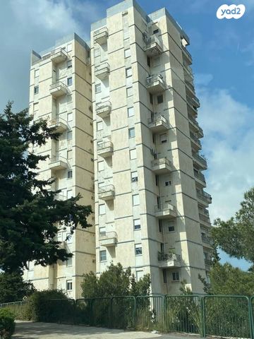 דירה, ד"ר ארתור בירם, חיפה