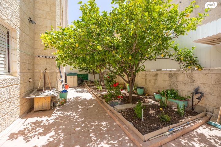 דירת גן, יעקב שריבוים, בית הכרם, רמת בית הכרם, ירושלים