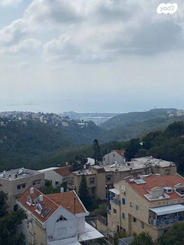 דירה, ד"ר ארתור בירם, חיפה