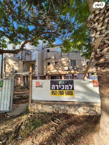 אליהו חכים 2
