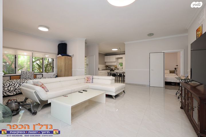 דוד וולפסון 4