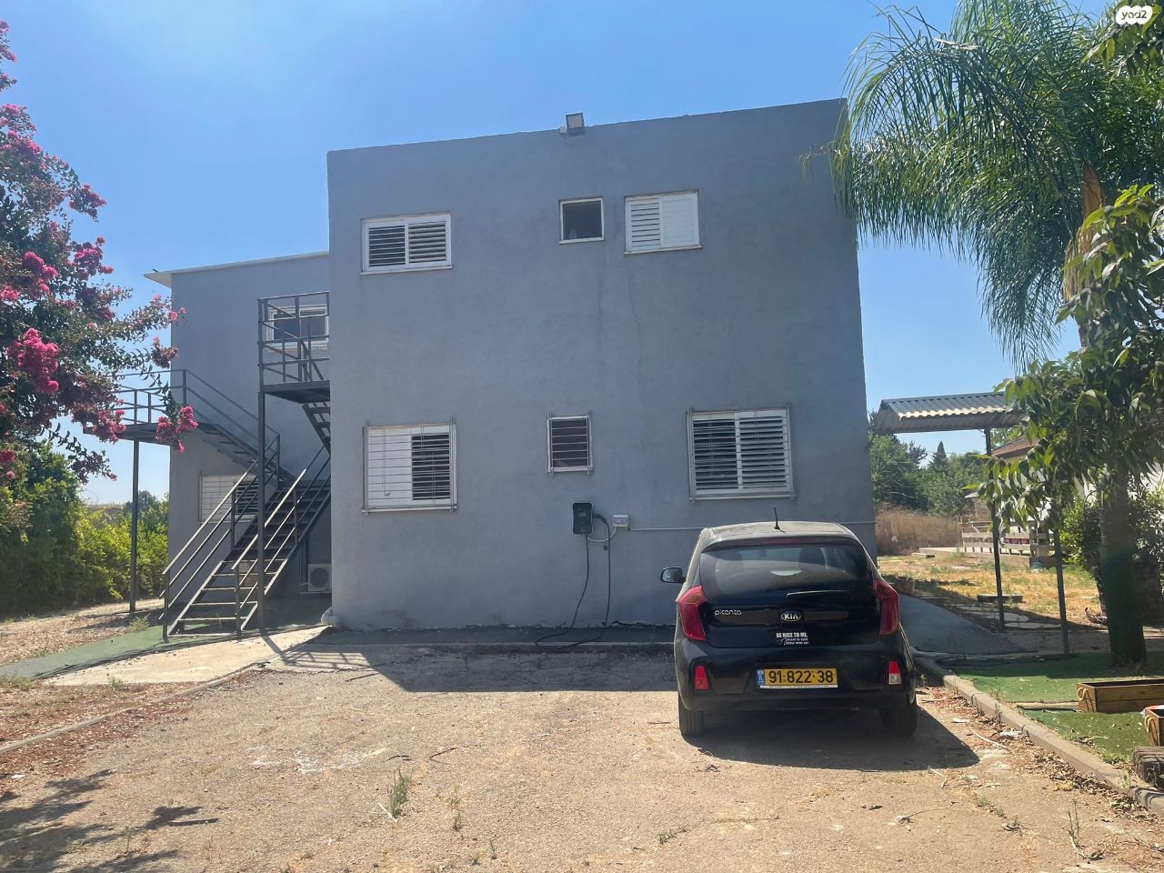 הזית 9