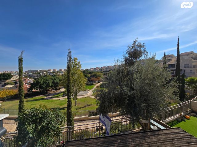 דירה, המרווה, צמח השדה, מעלה אדומים