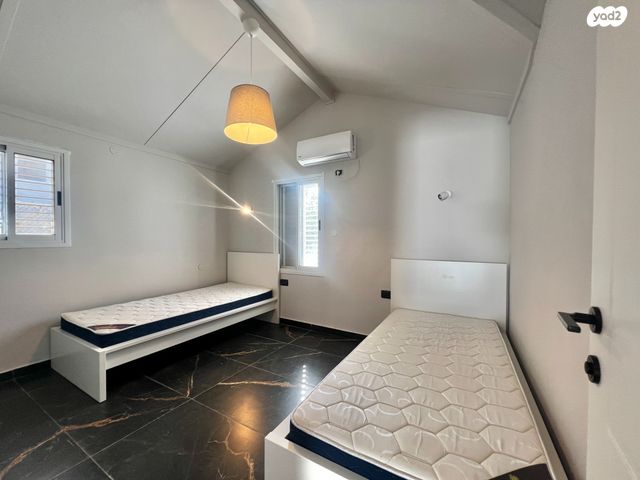 דו משפחתי, פטרה, ממשית, דימונה