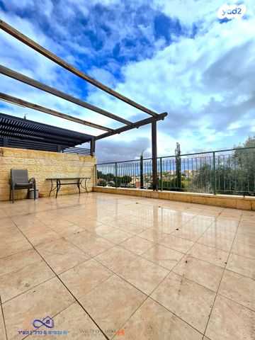 דירה, המרווה, צמח השדה, מעלה אדומים