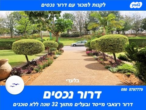 הזיתים 