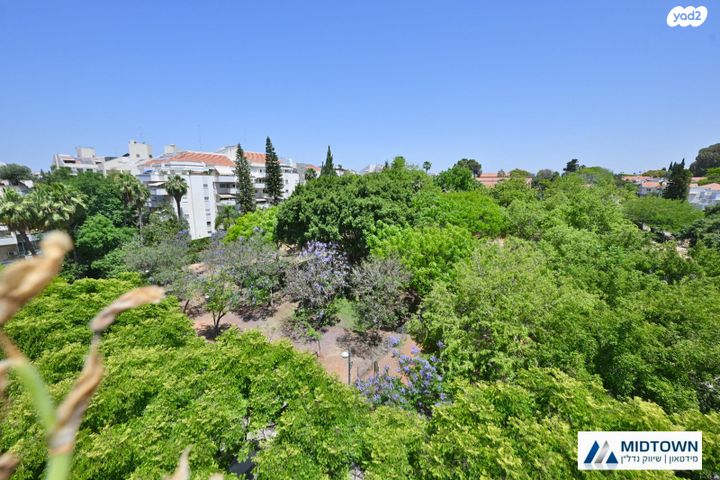 דירה, דקל, מרכז, כפר סבא