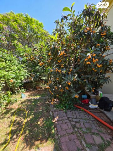 בית פרטי/ קוטג', קדימה צורן