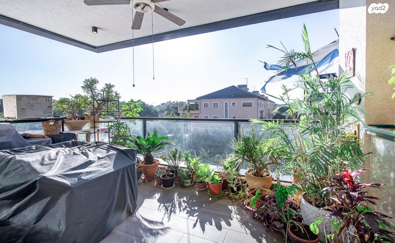 מתחם גרינברג